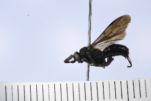  ( - UUPomp_027)  @11 [ ] Copyright (2024) Jeremy Blaschke Union University