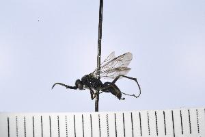  ( - UUPomp_028)  @11 [ ] Copyright (2024) Jeremy Blaschke Union University