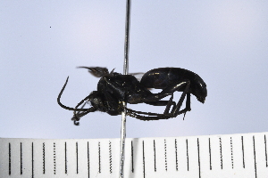  ( - UUPomp_098)  @11 [ ] Copyright (2024) Jeremy Blaschke Union University