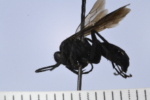  ( - UUPomp_144)  @11 [ ] Copyright (2024) Jeremy Blaschke Union University