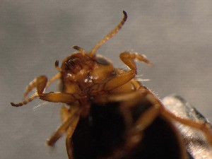  ( - WYNDD-0358)  @11 [ ] No Rights Reserved (nrr) (2022) Unspecified Wyoming Natural Diversity Database