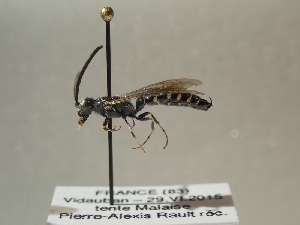  ( - TR-BC0232)  @11 [ ] Copyright (2022) Thibault Ramage Research Collection of Thibault Ramage