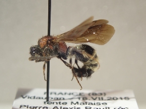  ( - TR-BC0243)  @11 [ ] Copyright (2022) Thibault Ramage Research Collection of Thibault Ramage