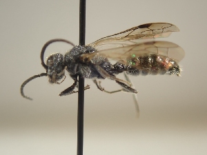  ( - TR-BC0249)  @11 [ ] Copyright (2022) Thibault Ramage Research Collection of Thibault Ramage