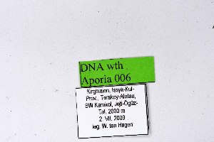  ( - DNAwthAporia006)  @11 [ ] copyright (2023) Wolfgang tenHagen Unspecified