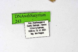  ( - DNAwthSatyrium243)  @11 [ ] Copyright (2023) Unspecified Unspecified