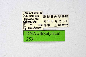  ( - DNAwthSatyrium253)  @11 [ ] Copyright (2023) Unspecified Unspecified