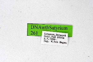  ( - DNAwthSatyrium261)  @11 [ ] Copyright (2023) Unspecified Unspecified