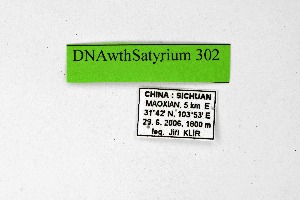  ( - DNAwthSatyrium302)  @11 [ ] Copyright (2023) Unspecified Unspecified