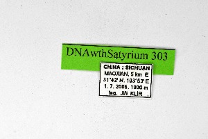  ( - DNAwthSatyrium303)  @11 [ ] Copyright (2023) Unspecified Unspecified