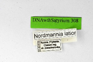  (Satyrium latior - DNAwthSatyrium308)  @11 [ ] Copyright (2023) Unspecified Unspecified