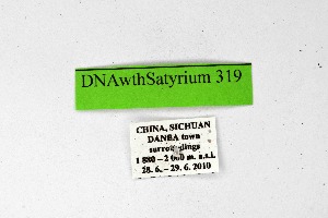  ( - DNAwthSatyrium319)  @11 [ ] Copyright (2023) Unspecified Unspecified