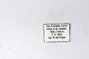  ( - DNAwthAporia012)  @11 [ ] copyright (2023) Wolfgang ten Hagen Unspecified