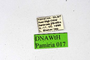  ( - DNAwthPamiria017)  @11 [ ] Copyright (2025) Wolfgang ten Hagen Unspecified