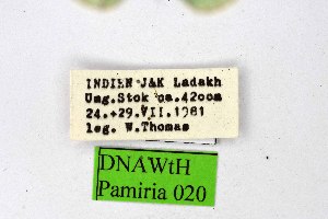  ( - DNAwthPamiria020)  @11 [ ] Copyright (2025) Wolfgang ten Hagen Unspecified