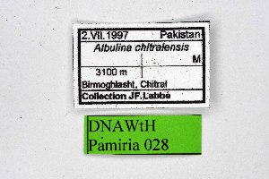  ( - DNAwthPamiria028)  @11 [ ] Copyright (2025) Wolfgang ten Hagen Unspecified