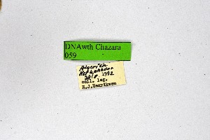 ( - DNAwthChazara059)  @11 [ ] copyright (2025) Wolfgang tenHagen Unspecified