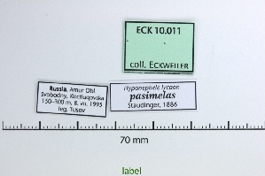  ( - Eck10-011)  @11 [ ] copyright (2023) Wolfgang Eckweiler Unspecified