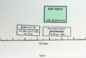  ( - Eck10-012)  @11 [ ] copyright (2023) Wolfgang Eckweiler Unspecified