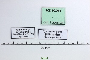  ( - Eck10-014)  @11 [ ] copyright (2023) Wolfgang Eckweiler Unspecified