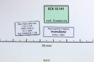  ( - Eck10-141)  @11 [ ] copyright (2023) Wolfgang Eckweiler Unspecified