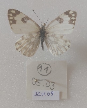  ( - JCH09)  @11 [ ] Copyright (2024) Jan Christian Habel Unspecified