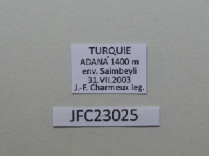  ( - JFC23025)  @11 [ ] Copyright (2023) Unspecified Unspecified