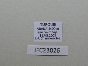  ( - JFC23026)  @11 [ ] Copyright (2023) Unspecified Unspecified