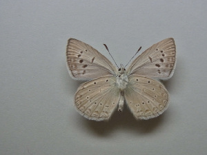  ( - JFC23026)  @11 [ ] Copyright (2023) Unspecified Unspecified