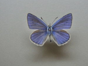  ( - JFC23036)  @11 [ ] Copyright (2023) Unspecified Unspecified