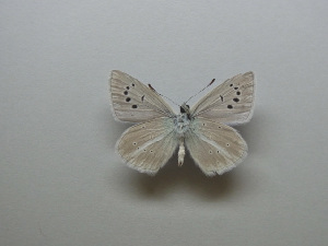  ( - JFC23037)  @11 [ ] Copyright (2023) Unspecified Unspecified