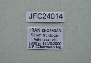  ( - JFC24014)  @11 [ ] Copyright (2024) Jean-Francois Charmeux Unspecified