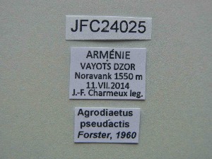  ( - JFC24025)  @11 [ ] Copyright (2024) Jean-Francois Charmeux Unspecified