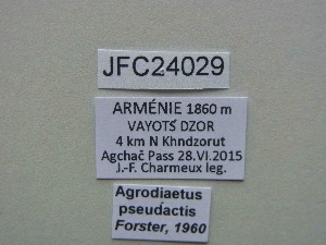  ( - JFC24029)  @11 [ ] Copyright (2024) Jean-Francois Charmeux Unspecified