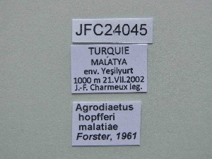  ( - JFC24045)  @11 [ ] Copyright (2024) Jean-Francois Charmeux Unspecified
