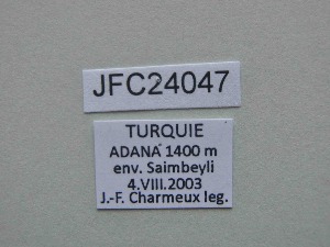  ( - JFC24047)  @11 [ ] Copyright (2024) Jean-Francois Charmeux Unspecified
