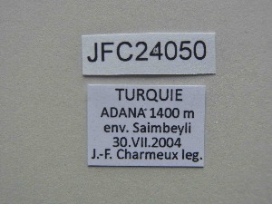  ( - JFC24050)  @11 [ ] Copyright (2024) Jean-Francois Charmeux Unspecified