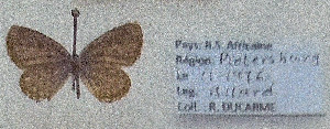  ( - RDwth01)  @11 [ ] Copyright (2025) Robert Ducarme Unspecified