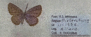  ( - RDwth03)  @11 [ ] Copyright (2025) Robert Ducarme Unspecified