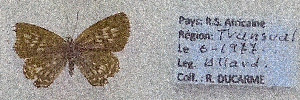  ( - RDwth05)  @11 [ ] Copyright (2025) Robert Ducarme Unspecified