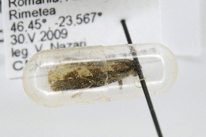  ( - VNLEP00268)  @12 [ ] Copyright (2011) Jean-Francois Landry Canadian National Collection