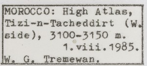  ( - SMNS-VN013)  @11 [ ] Copyrght (2025) Staatliches Museum fur Naturkunde, Stuttgart Unspecified