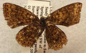  ( - DLW-001070)  @11 [ ] No Rights Reserved (2018) David L. Wagner University of Connecticut