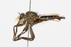  ( - DLW-005159)  @11 [ ] Copyright (2025) Michael C Thomas Michael C. Thomas Collection