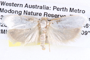  ( - BIOUG12057-E07)  @13 [ ] CreativeCommons - Attribution (2014) CBG Photography Group Centre for Biodiversity Genomics