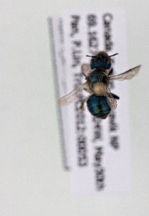  ( - CCDB-20944 C06)  @12 [ ] Unspecified (default): All Rights Reserved (2014) Royal Saskatchewan Museum Royal Saskatchewan Museum