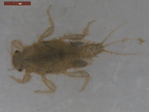  ( - BIOUG00638-F09)  @12 [ ] CreativeCommons - Attribution (2011) Centre for Biodiversity Genomics Centre for Biodiversity Genomics