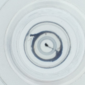  ( - WOXF_027_G5)  @11 [ ] by  Genome Research Ltd as Wellcome Sanger Institute Genome Research Limited operating as Wellcome Sanger Institute