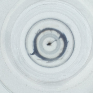  ( - WOXF_028_G2)  @11 [ ] by  Genome Research Ltd as Wellcome Sanger Institute Genome Research Limited operating as Wellcome Sanger Institute