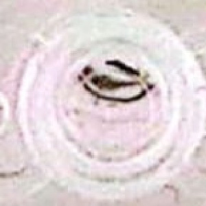  ( - ROM-87506-89)  @11 [ ] Unspecified (default): All Rights Reserved  Unspecified Unspecified
